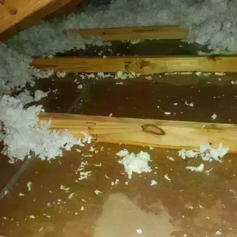 Attic Water Damage in Clay, CA