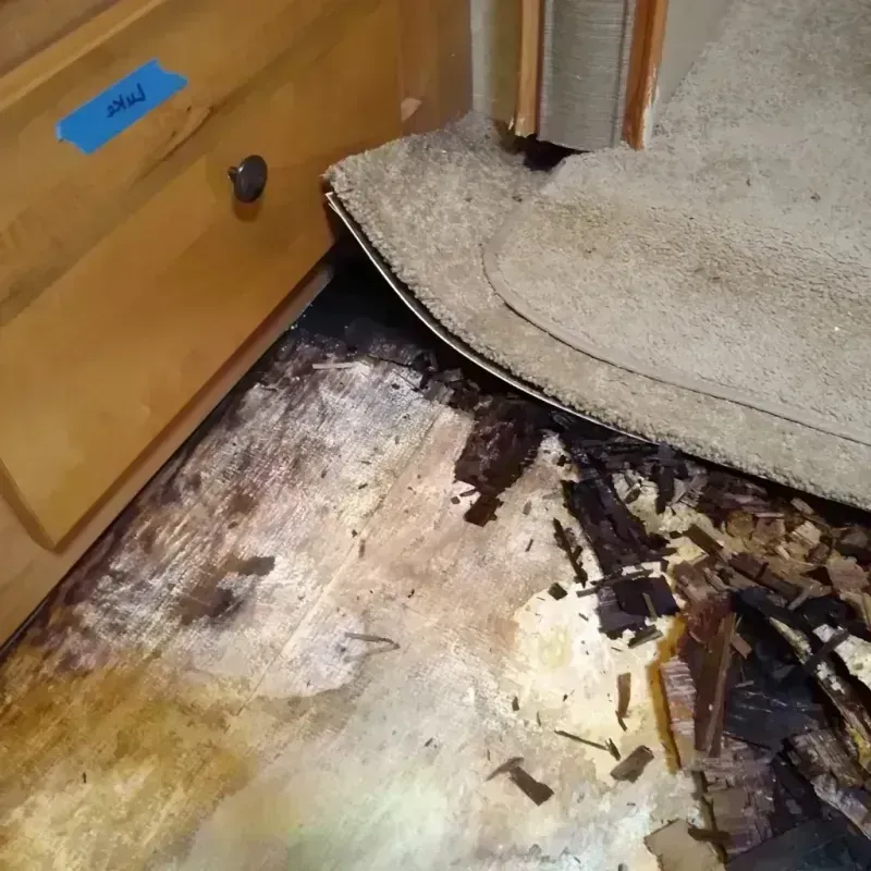 Wood Floor Water Damage in Clay, CA